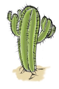 Картинки по запросу рисунок кактуса в пустыне