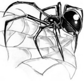 Картинки по запросу рисунок паука в паутине
