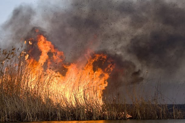 На Львівщині почастішали випадки спалювання сухої трави