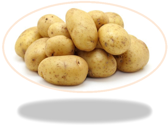 картопля.jpg