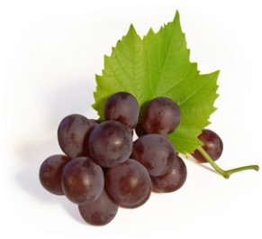 Картинки по запросу виноград