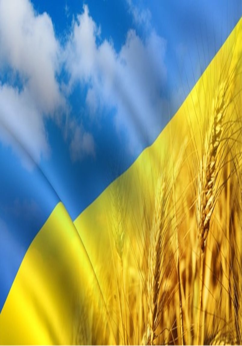 Украинский прапор