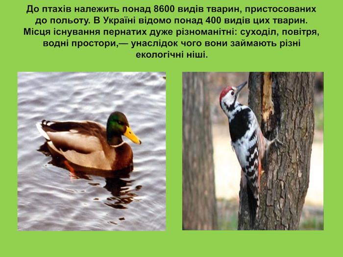 До птахів належить понад 8600 видів тварин, пристосованих до польоту. В Україні відомо понад 400 видів цих тварин. Місця існування пернатих дуже різноманітні: суходіл, повітря, водні простори,— унаслідок чого вони займають різні екологічні ніші. 