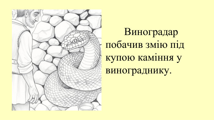  Виноградар побачив змію під купою каміння у винограднику.