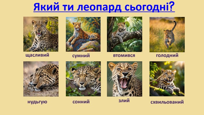 Який ти леопард сьогодні?щасливийсумнийвтомивсяголоднийнудьгуюсоннийсхвильованийзлий