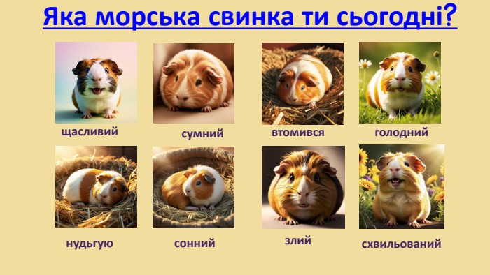 Яка морська свинка ти сьогодні?щасливийсумнийвтомивсяголоднийнудьгуюсоннийсхвильованийзлий
