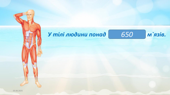 03.06.2025 У тілі людини понад (200 – 70 ) * 5 м`язів.650