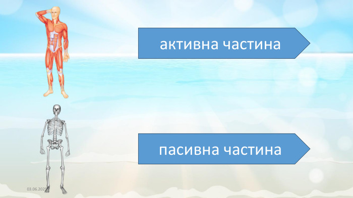 03.06.2025активна частинапасивна частина