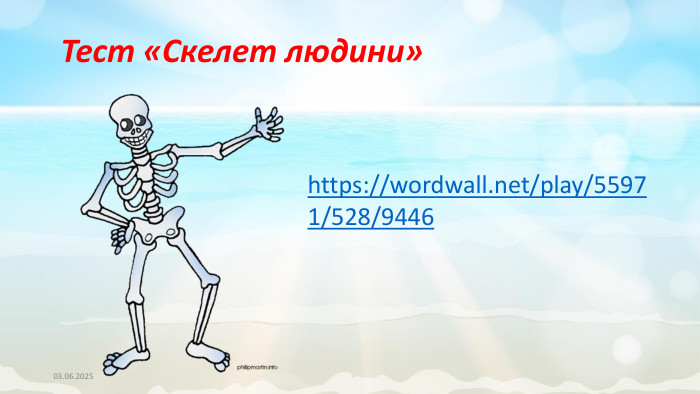 03.06.2025https://wordwall.net/play/55971/528/9446 Тест «Скелет людини»