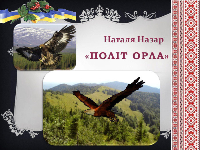 «Політ орла»Наталя Назар