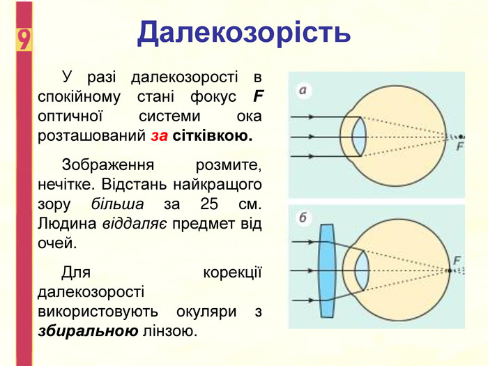 Стихи про оку