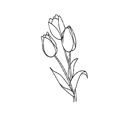Результат пошуку зображень за запитом "весняні квіти розмальовка"