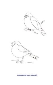 Результат пошуку зображень за запитом "розмальовки зимуючі птахи"