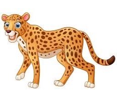 Happy Leopard Cartoon Isolated On White Background Stock Vector ...