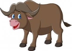 Cute african cape buffalo animal cartoon | Premium Vector