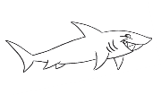 Картинки по запросу розмальовка акула