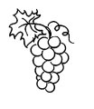 Картинки по запросу розмальовка виноград