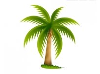 Картинки по запросу картинка для дітей пальма