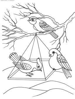 Картинки по запросу розмальовка кормушка для птиц