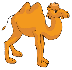 Картинки по запросу картинка для дітей верблюд