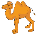 Картинки по запросу картинка для дітей  верблюдів