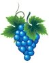 Картинки по запросу малюнок виноград для дітей