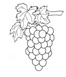 Картинки по запросу картинка для детей виноград