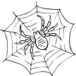 Картинки по запросу малюнок павук і павутиння