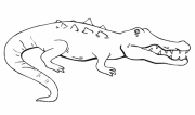 Картинки по запросу розмальовка крокодил