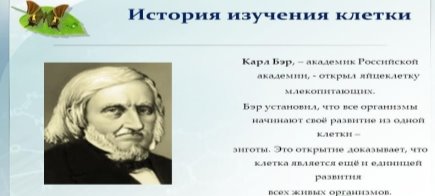 http://images.myshared.ru/10/971343/slide_7.jpg