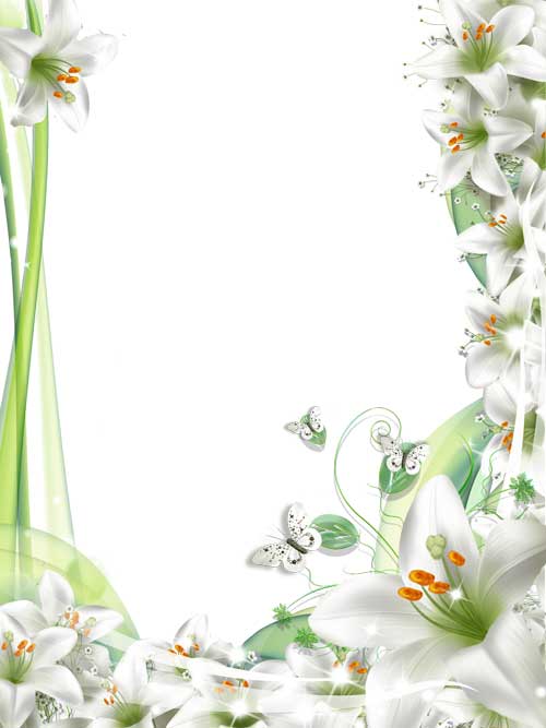 PSD.Lily.Flower.Photo.Frames.2.Separate.Layers.2835x3780.jpg