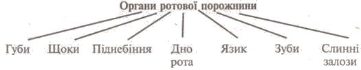 http://subject.com.ua/lesson/biology/9klas/9klas.files/image083.jpg