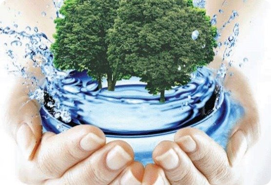 Основні компоненти та процеси біологічного очищення води