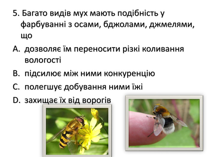 5. Багато видів мух мають подібність у фарбуванні з осами, бджолами, джмелями, щодозволяє їм переносити різкі коливання вологостіпідсилює між ними конкуренціюполегшує добування ними їжізахищає їх від ворогів