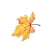 C:\Users\Влад\Downloads\Новая папка (2)\86465463-big-maple-autumn-leaf.jpg