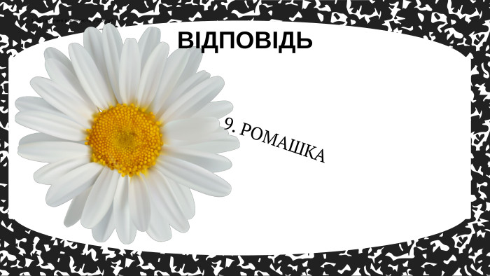 9. РОМАШКАВІДПОВІДЬ1. За що учня виганяють з класу?