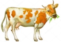 C:\Users\Оля\Desktop\depositphotos_117118402-stock-photo-illustration-of-cute-cow-on.jpg