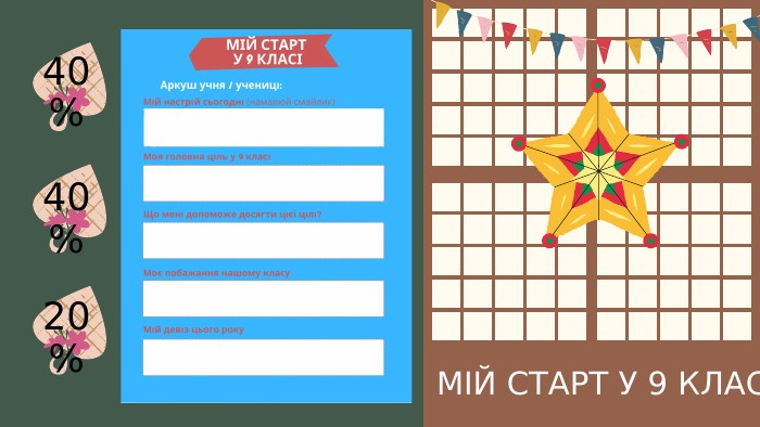 МІЙ СТАРТ У 9 КЛАСІ40%40%20%
