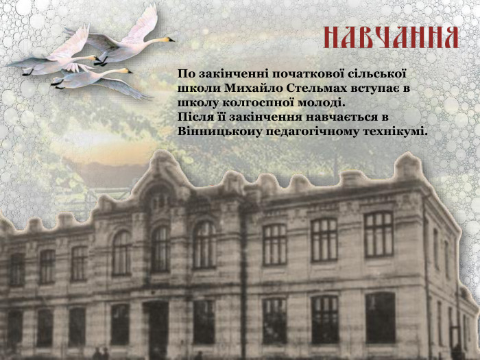 По закінченні початкової сільської школи Михайло Стельмах вступає в школу колгоспної молоді.  Після її закінчення навчається в Вінницькоиу педагогічному технікумі. 