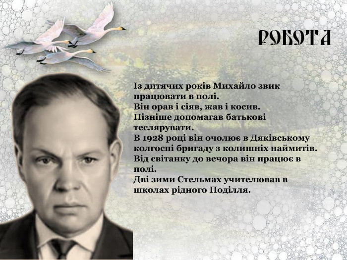 Із дитячих років Михайло звик працювати в полі.  Він орав і сіяв, жав і косив.  Пізніше допомагав батькові теслярувати.  В 1928 році він очолює в Дяківському колгоспі бригаду з колишніх наймитів. Від світанку до вечора він працює в полі.  Дві зими Стельмах учителював в школах рідного Поділля. 