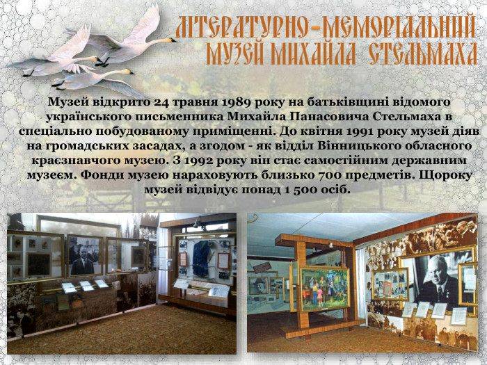 Музей відкрито 24 травня 1989 року на батьківщині відомого українського письменника Михайла Панасовича Стельмаха в спеціально побудованому приміщенні. До квітня 1991 року музей діяв на громадських засадах, а згодом - як відділ Вінницького обласного краєзнавчого музею. З 1992 року він стає самостійним державним музеєм. Фонди музею нараховують близько 700 предметів. Щороку музей відвідує понад 1 500 осіб.  