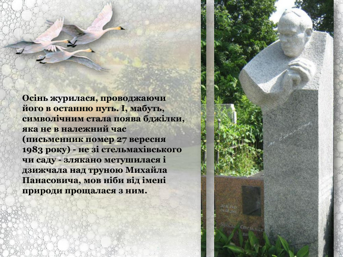 Осінь журилася, проводжаючи його в останню путь. І, мабуть, символічним стала поява бджілки, яка не в належний час (письменник помер 27 вересня 1983 року) - не зі стельмахівського чи саду - злякано метушилася і дзижчала над труною Михайла Панасовича, мов ніби від імені природи прощалася з ним. 