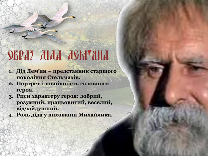 Дід Дем’ян – представник старшого покоління Стельмахів. Портрет і зовнішність головного героя. Риси характеру героя: добрий, розумний, працьовитий, веселий, відчайдушний. Роль діда у вихованні Михайлика. 