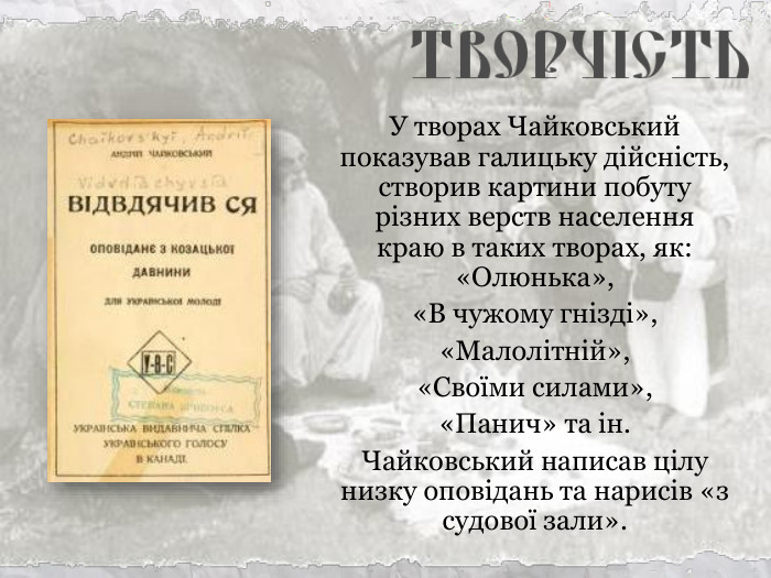 У творах Чайковський показував галицьку дійсність, створив картини побуту різних верств населення краю в таких творах, як: «Олюнька»,  «В чужому гнізді», «Малолітній»,  «Своїми силами»,  «Панич» та ін.  Чайковський написав цілу низку оповідань та нарисів «з судової зали». 