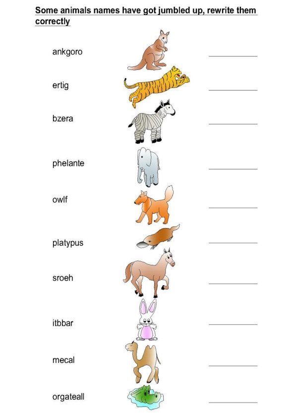 Animals Worksheets For Kids