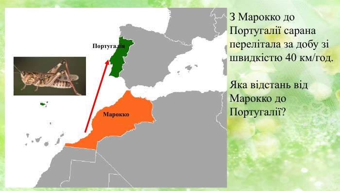 Марокко. Португалія. З Марокко до Португалії сарана перелітала за добу зі швидкістю 40 км/год. Яка відстань від Марокко до Португалії?
