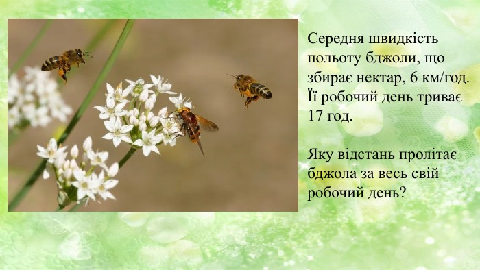 Середня швидкість польоту бджоли, що збирає нектар, 6 км/год. Її робочий день триває 17 год. Яку відстань пролітає бджола за весь свій робочий день?