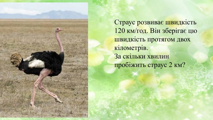 Страус розвиває швидкість 120 км/год. Він зберігає цю швидкість протягом двох кілометрів. За скільки хвилин пробіжить страус 2 км? 