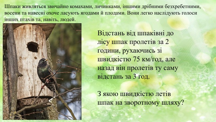 Шпаки живляться звичайно комахами, личинками, іншими дрібними безхребетними, восени та навесні охоче ласують ягодами й плодами. Вони легко наслідують голоси інших птахів та, навіть, людей. Відстань від шпаківні до лісу шпак пролетів за 2 години, рухаючись зі швидкістю 75 км/год, але назад він пролетів ту саму відстань за 3 год. З якою швидкістю летів шпак на зворотному шляху? 