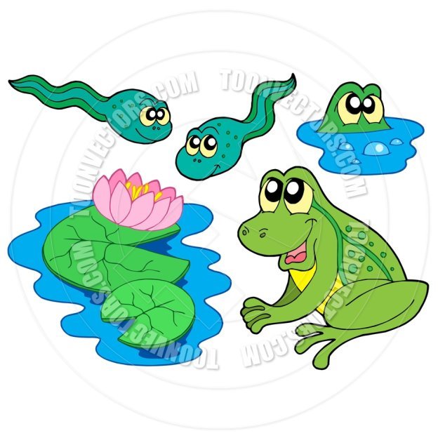 http://moziru.com/images/tadpole-clipart-froglet-20.jpg